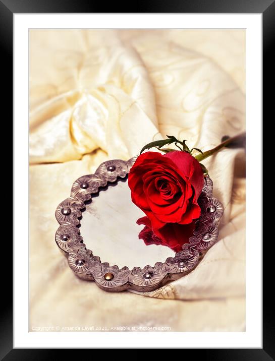 Red Rose On Mirror Framed Mounted Print by Amanda Elwell