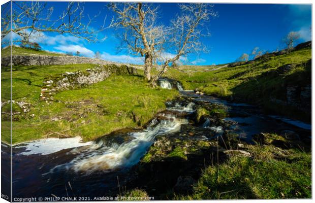 Cray beck in the Yorkshire dales 167 Canvas Print by PHILIP CHALK