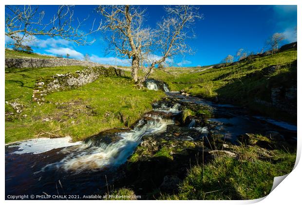 Cray beck in the Yorkshire dales 167 Print by PHILIP CHALK