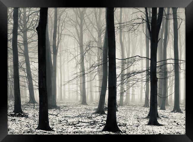 woodland mist Framed Print by Simon Johnson