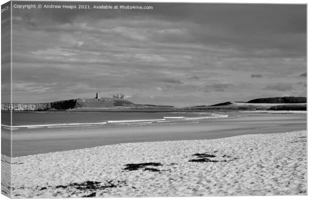 Northumberland beach scene from Embleton beach Canvas Print by Andrew Heaps