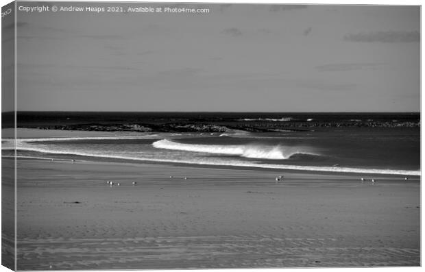 Northumberland ocean beach waves. Canvas Print by Andrew Heaps
