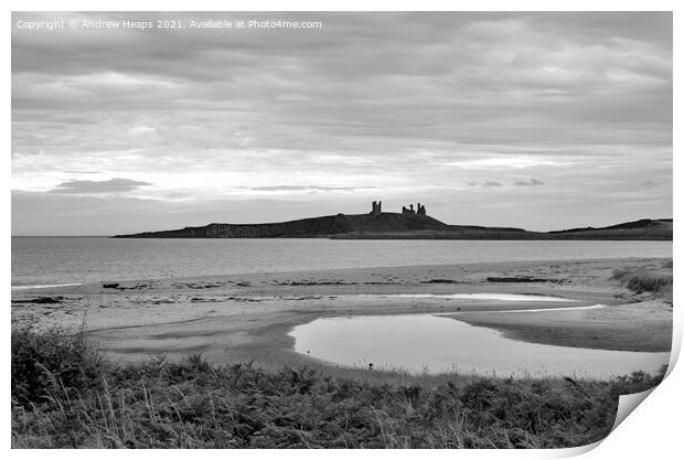 Majestic ruins of Dunstanburgh Castle Print by Andrew Heaps