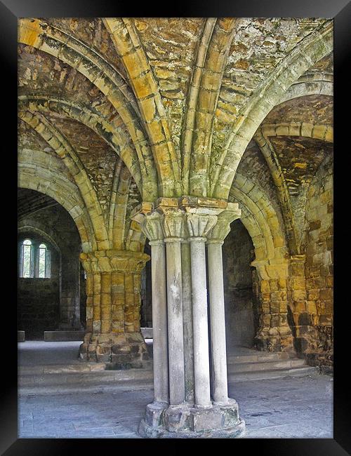 The Cloisters ~ Kirkstall Abbey Framed Print by Sandi-Cockayne ADPS