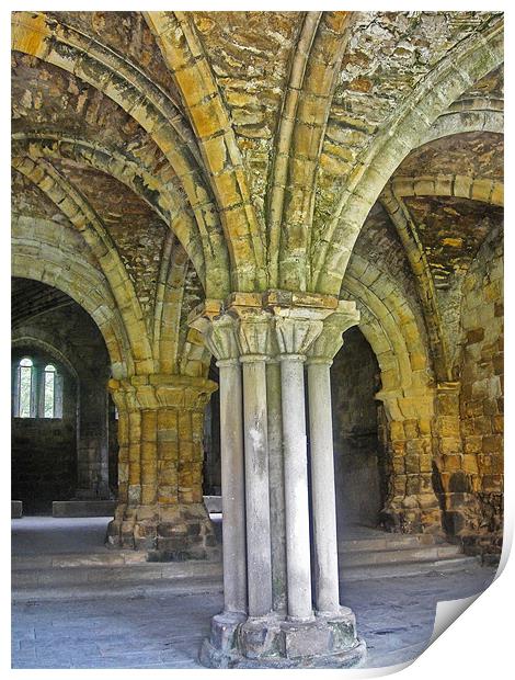 The Cloisters ~ Kirkstall Abbey Print by Sandi-Cockayne ADPS