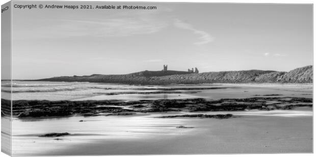 Dunstanburgh castle in Northumberland beach scene Canvas Print by Andrew Heaps