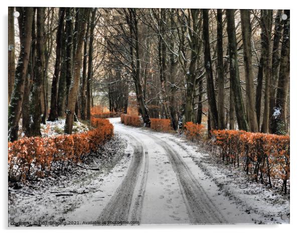 Olde Beech Hedge Drive In Winter Scotland Acrylic by OBT imaging