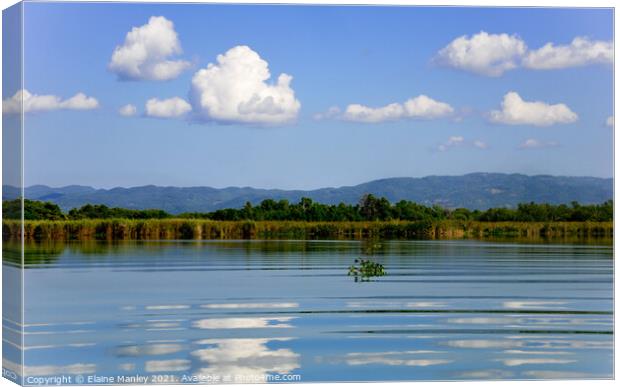 Black River Jamaica  Canvas Print by Elaine Manley