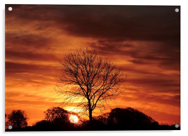 broadway sunrise Acrylic by Simon Johnson