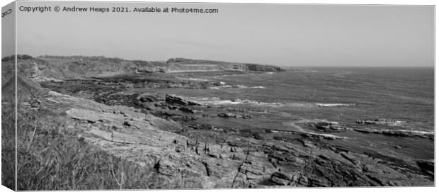Rocky coastal scene in Northumberland Canvas Print by Andrew Heaps