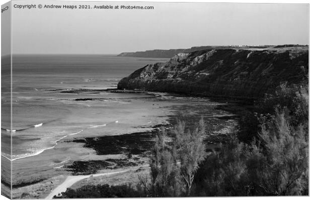 Scarborough cliffs and shoreline Canvas Print by Andrew Heaps