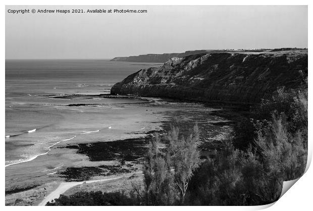 Scarborough cliffs and shoreline Print by Andrew Heaps