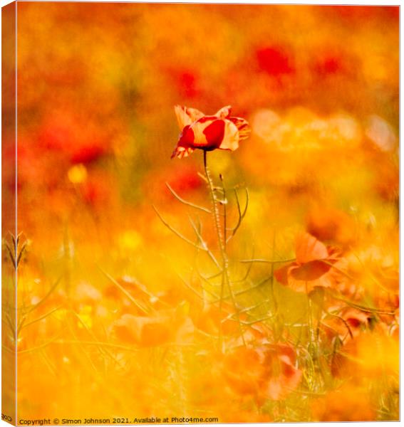 creatrive impressionist image of poppy Canvas Print by Simon Johnson