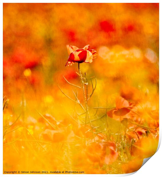 creatrive impressionist image of poppy Print by Simon Johnson