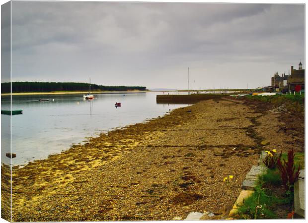 At Findhorn Canvas Print by Steven Watson