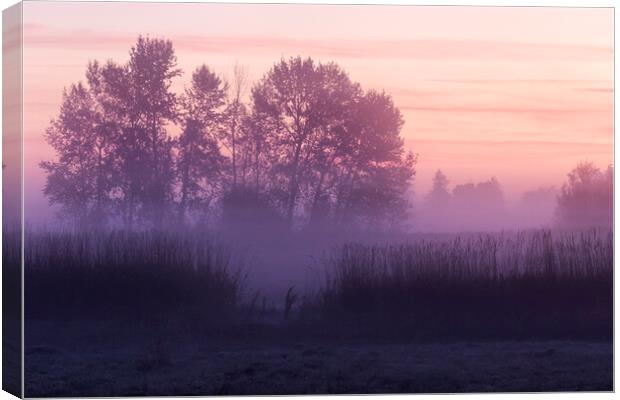 Silhouettes at Dawn at William Finley Wildlife Refuge Canvas Print by Belinda Greb
