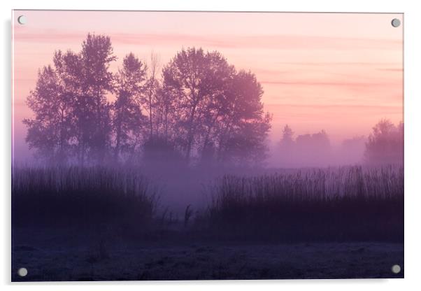 Silhouettes at Dawn at William Finley Wildlife Refuge Acrylic by Belinda Greb