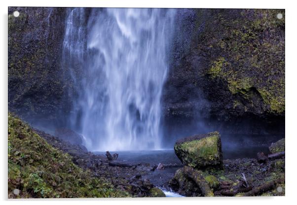 After the Fall Acrylic by Belinda Greb