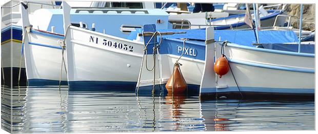 blue & white boats Canvas Print by Andy Wager