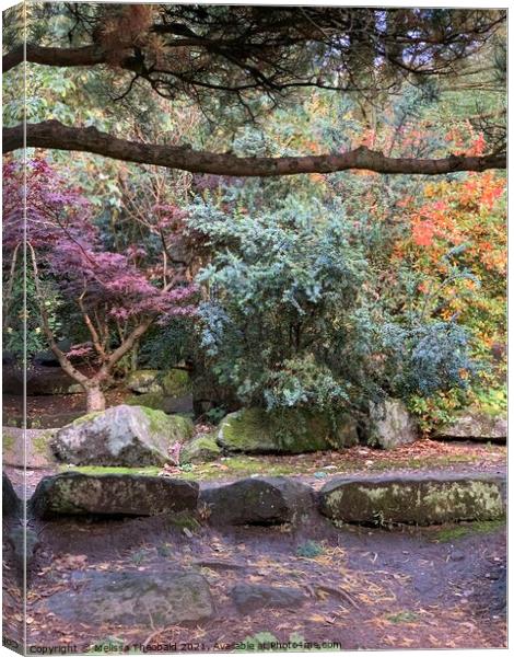 Autumn Colours at Calderstones Park Canvas Print by Melissa Theobald