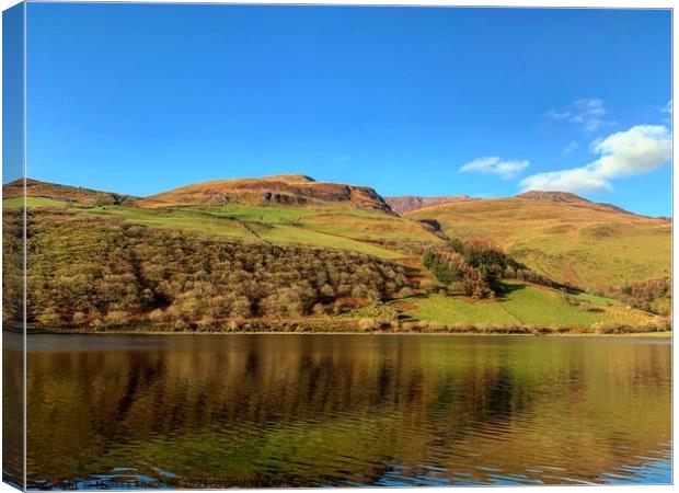 Llyn Mwyngil, near Llanfihangel y pennant Canvas Print by Melissa Theobald