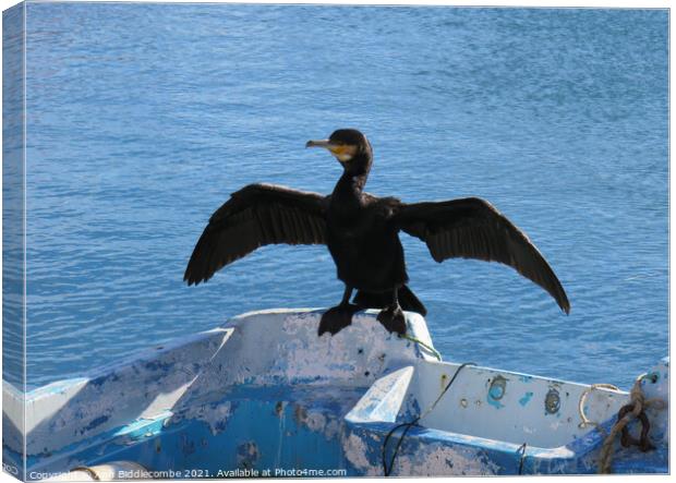 Local cormorant drying his wings Canvas Print by Ann Biddlecombe