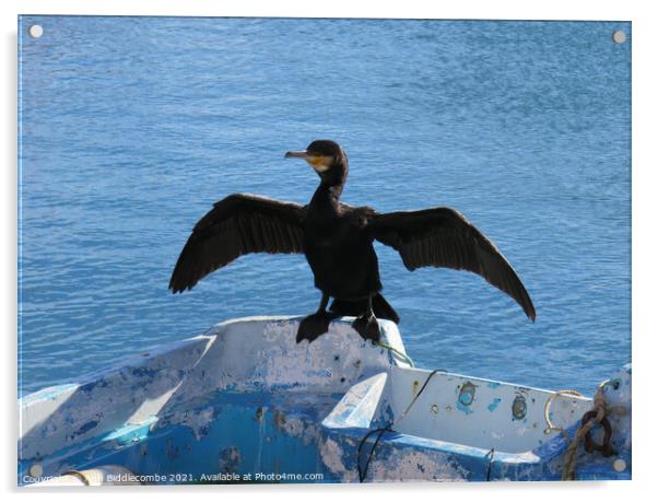 Local cormorant drying his wings Acrylic by Ann Biddlecombe