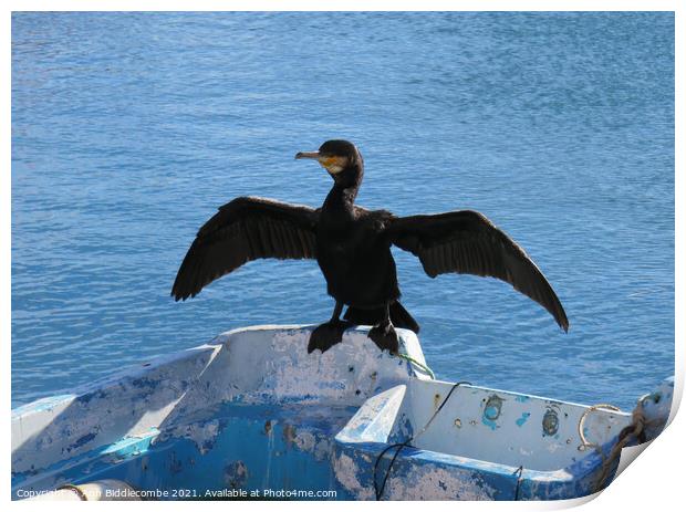 Local cormorant drying his wings Print by Ann Biddlecombe