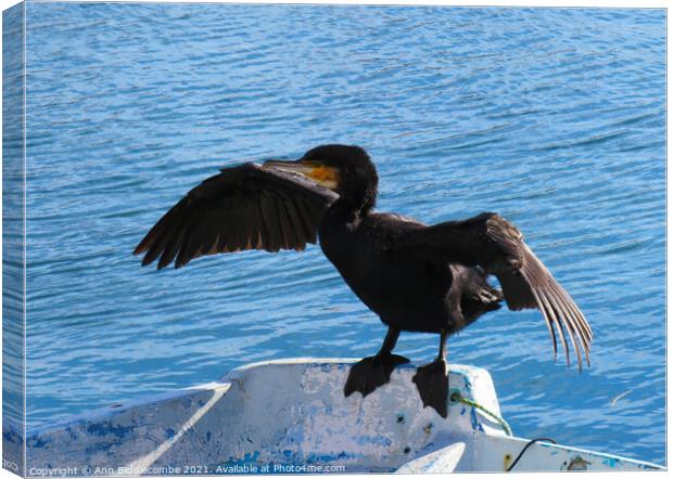Cormorant drying his wings Canvas Print by Ann Biddlecombe