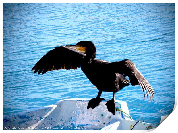 Cormorant drying his wings with darkened edges Print by Ann Biddlecombe