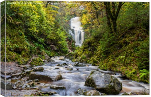 Waterfall in Queen Elizabeth Forest Park Aberfoyle Canvas Print by Angus McComiskey