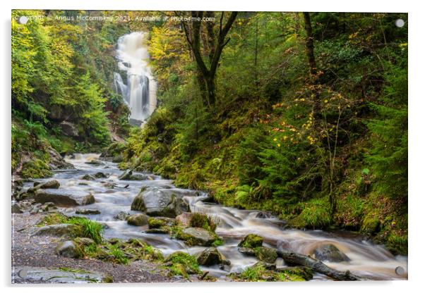 Queen Elizabeth Forest Park waterfall, Aberfoyle Acrylic by Angus McComiskey