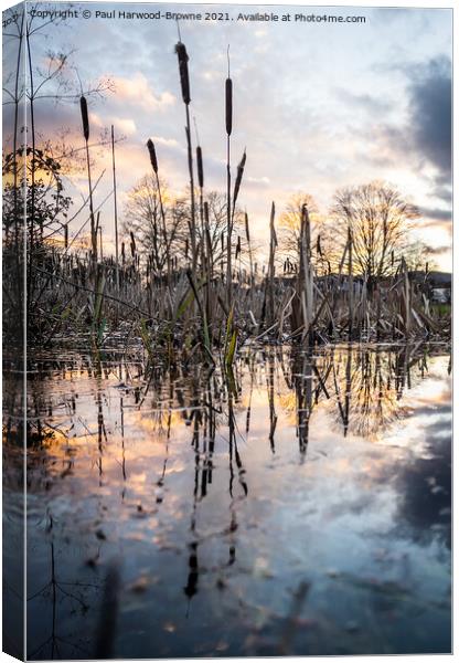 Sunset Reflections Canvas Print by Paul Harwood-Browne