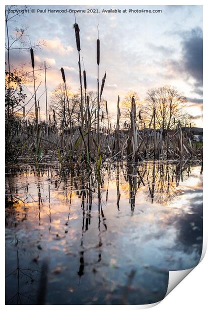 Sunset Reflections Print by Paul Harwood-Browne