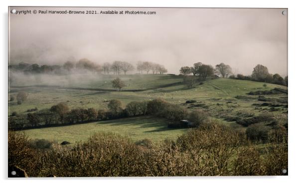 Misty Views Acrylic by Paul Harwood-Browne