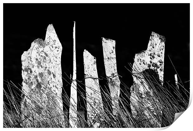 Slate fence Print by Rory Trappe