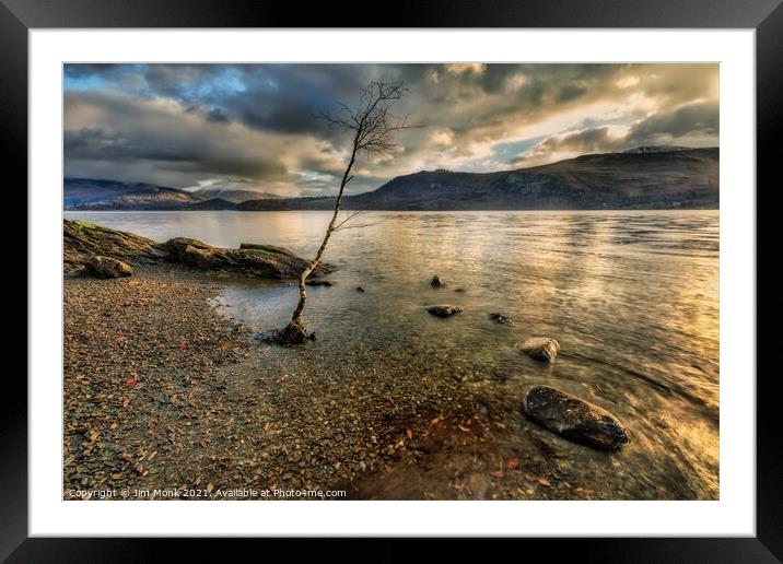 Lone Tree by Derwentwater Framed Mounted Print by Jim Monk