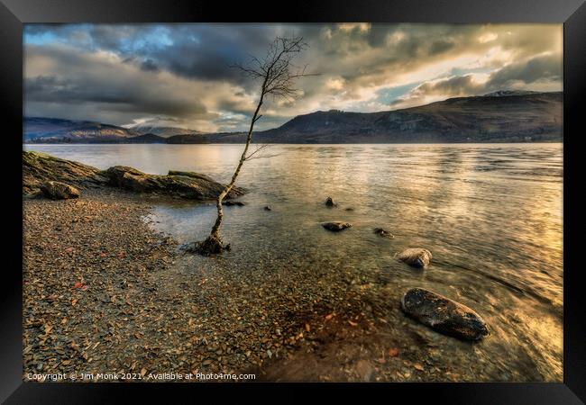 Lone Tree by Derwentwater Framed Print by Jim Monk