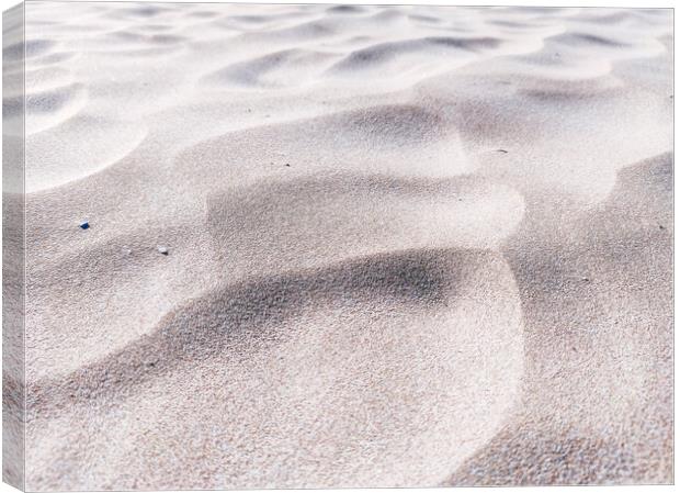 Close up of beach dunes Canvas Print by Sol Cantero