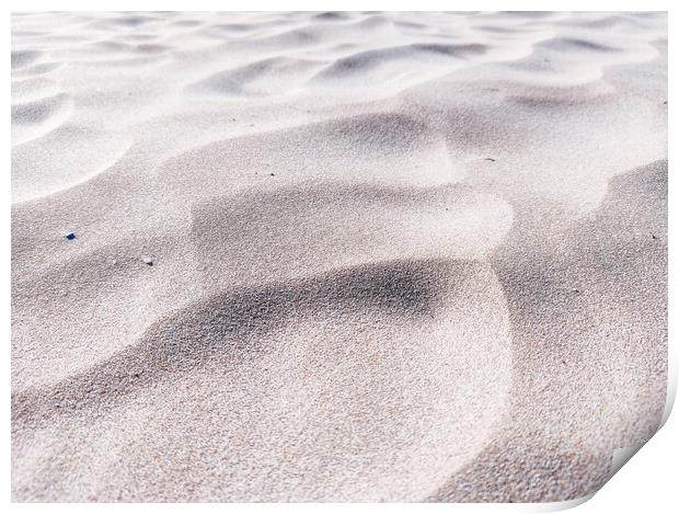 Close up of beach dunes Print by Sol Cantero