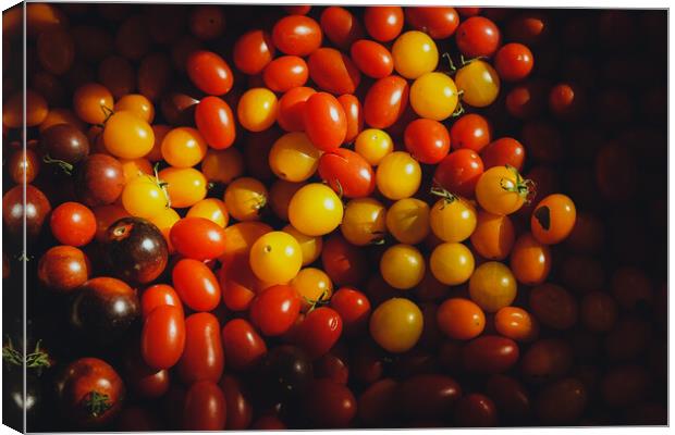 Texture of many cherry tomatoes Canvas Print by Sol Cantero