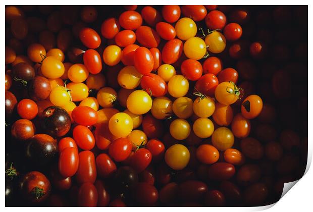 Texture of many cherry tomatoes Print by Sol Cantero