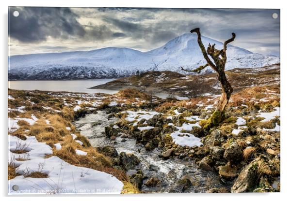 Loch Quoich,  Scottish Highlands Acrylic by Jim Monk