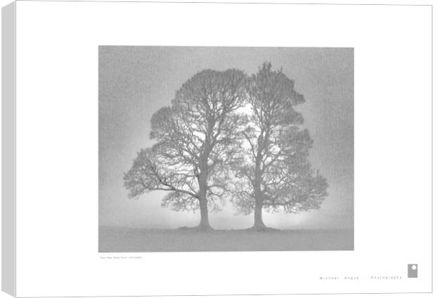 Twin Tree (Glen Fruin [Scotland]) Canvas Print by Michael Angus