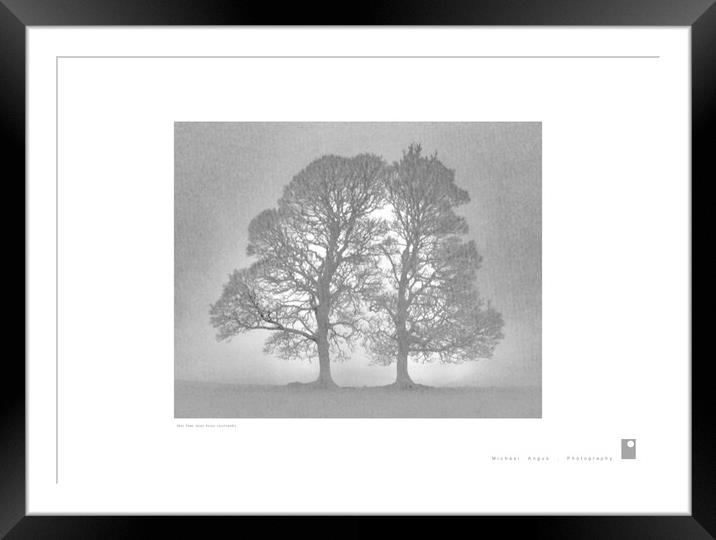 Twin Tree (Glen Fruin [Scotland]) Framed Mounted Print by Michael Angus