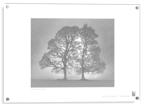 Twin Tree (Glen Fruin [Scotland]) Acrylic by Michael Angus
