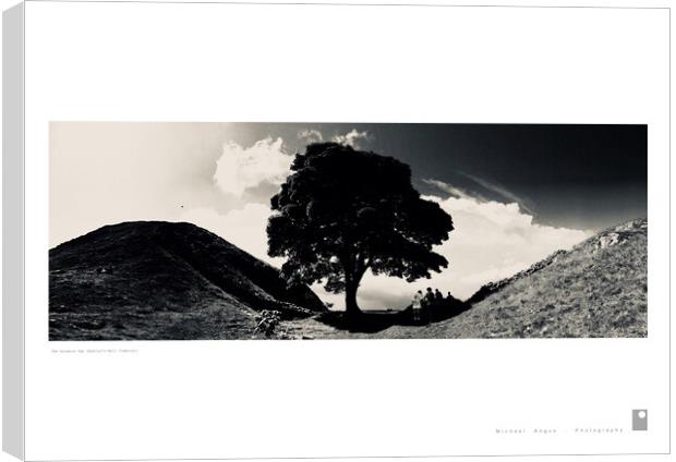 The Sycamore Gap (Hadrian’s Wall) Canvas Print by Michael Angus