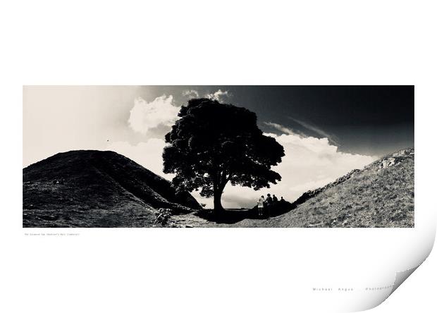 The Sycamore Gap (Hadrian’s Wall) Print by Michael Angus