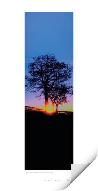 Trees at Dawn (Helensburgh [Scotland]) Print by Michael Angus