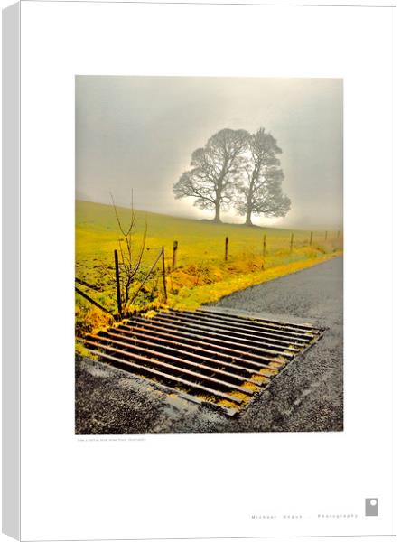 Tree and Grate (Glen Fruin [Scotland]) Canvas Print by Michael Angus